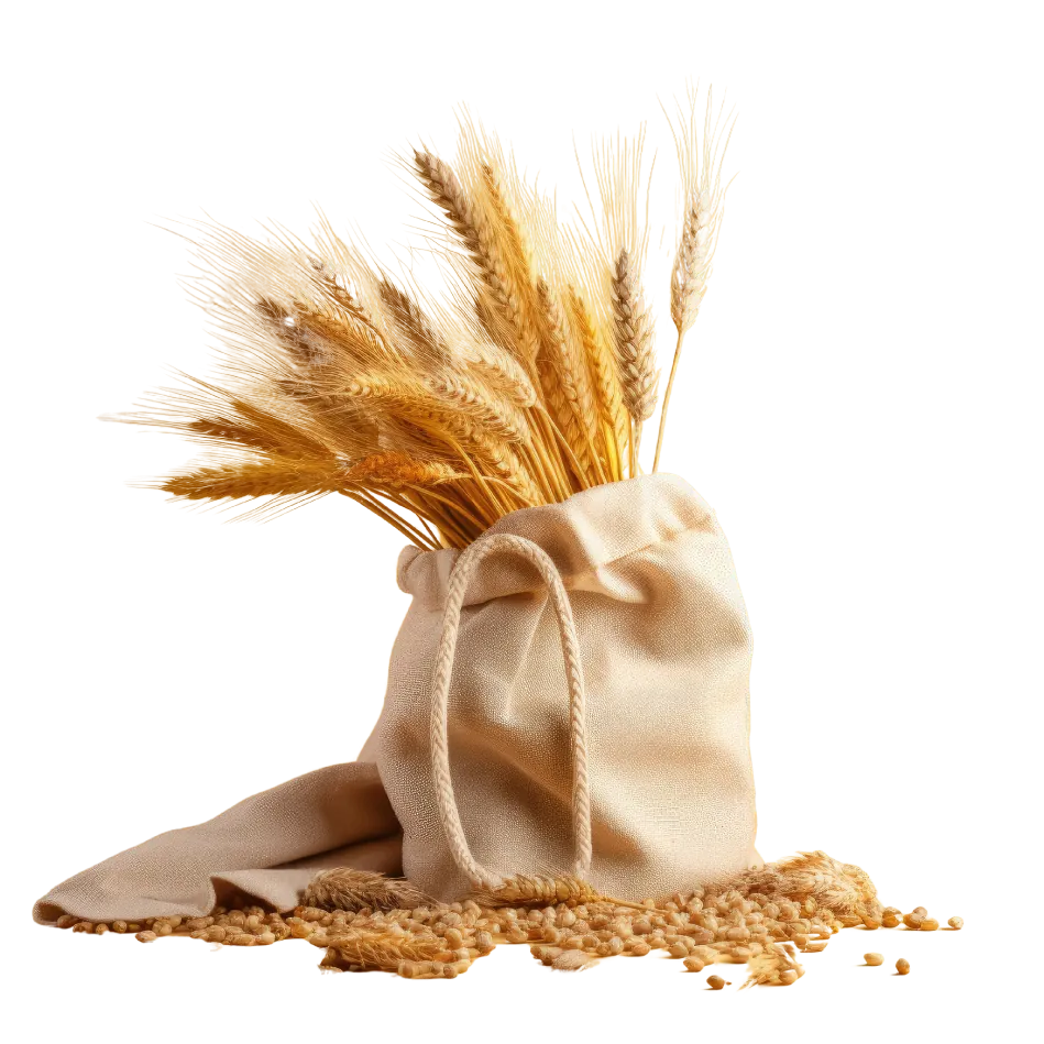 Wheat stalks in a sack of grain